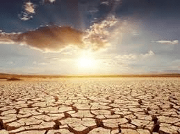 महाराष्ट्रावर दुष्काळाचे सावट, मराठवाड्यावर सर्वात मोठं सकंट