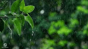 महाराष्ट्रात मान्सून कधी दाखल होणार? हवामान खात्याचा मोठा अंदाज, पावसाची प्रतीक्षा संपणार!