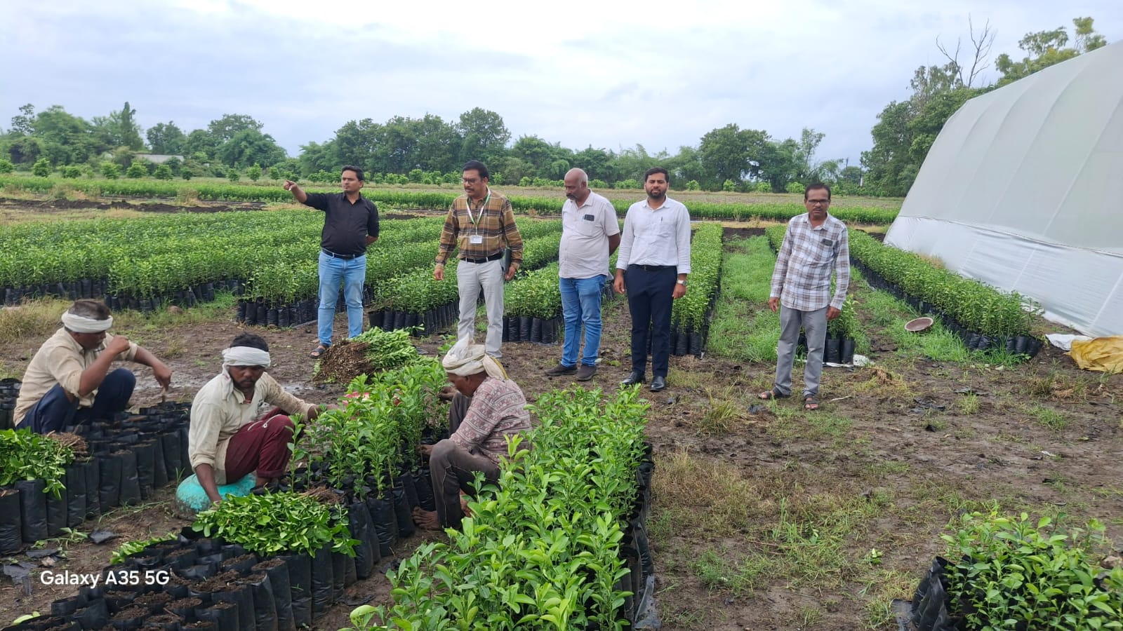 कटोल में खेत-खेत पहुंचे जिला कृषि अधीक्षक, किसानों को दी आधुनिक खेती की सीख