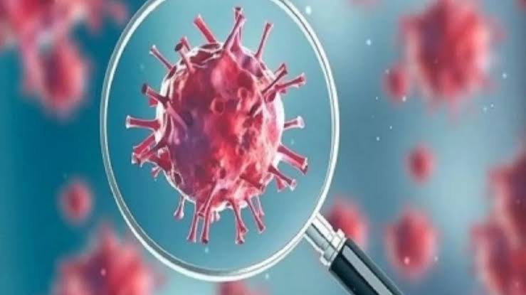 Corona Virus Update: महाराष्ट्रात कोरोनाची पुन्हा चाहूल? ४८ रुग्ण आढळले; आरोग्य विभागाने दिली महत्त्वाची माहिती