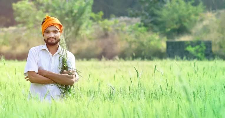 महाराष्ट्र के किसानों को बड़ी राहत! आज जारी होगी कर्जमाफी के पात्र किसानों की पहली सूची