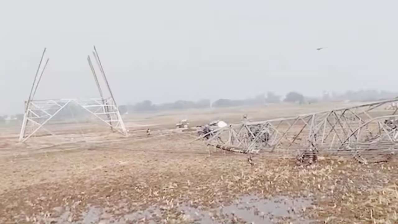 महावितरण का बड़ा फैसला : बिजली हादसे में पशुधन की मौत पर अब मिलेगी 50 हजार रुपये तक की मदद