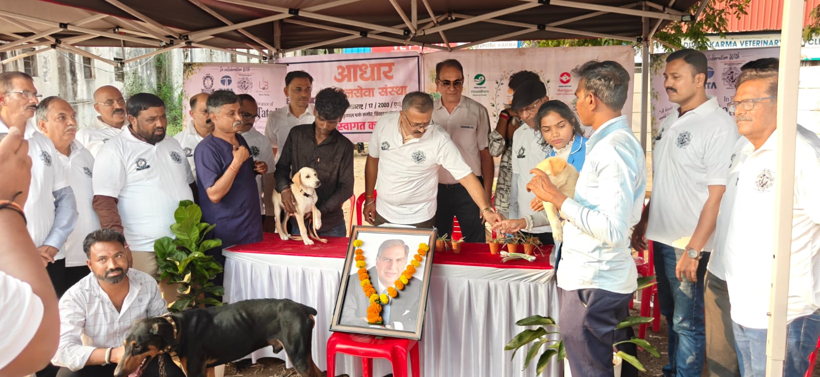 रतन टाटा साहेबांच्या स्मृतीदिनानिमित्त भटक्या श्वानांसाठी मोफत लसीकरण मोहीम