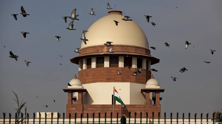 जनता का वोट सत्ता की खुली छूट नहीं; जनप्रतिनिधि पुलिस या कोर्ट की भूमिका नहीं निभा सकते