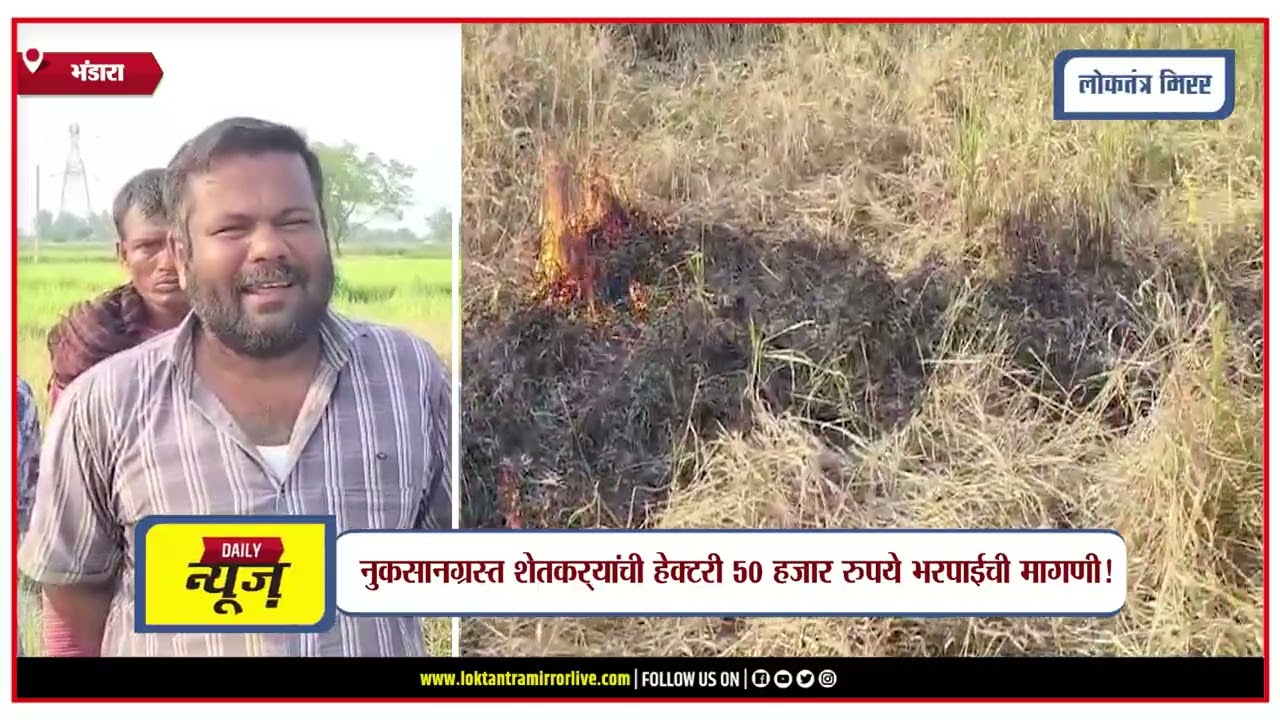 BHANDARA | भंडाऱ्यात पाण्याअभावी धानपीक करपलं; शेतकऱ्याने पिकाला आग लावली!